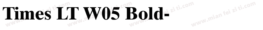 Times LT W05 Bold字体转换
